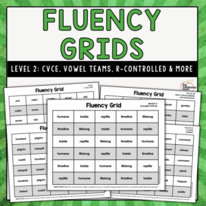 Fluency Grids - Level 2 - CVCE, Long Vowel Teams, R-Controlled Vowels & More