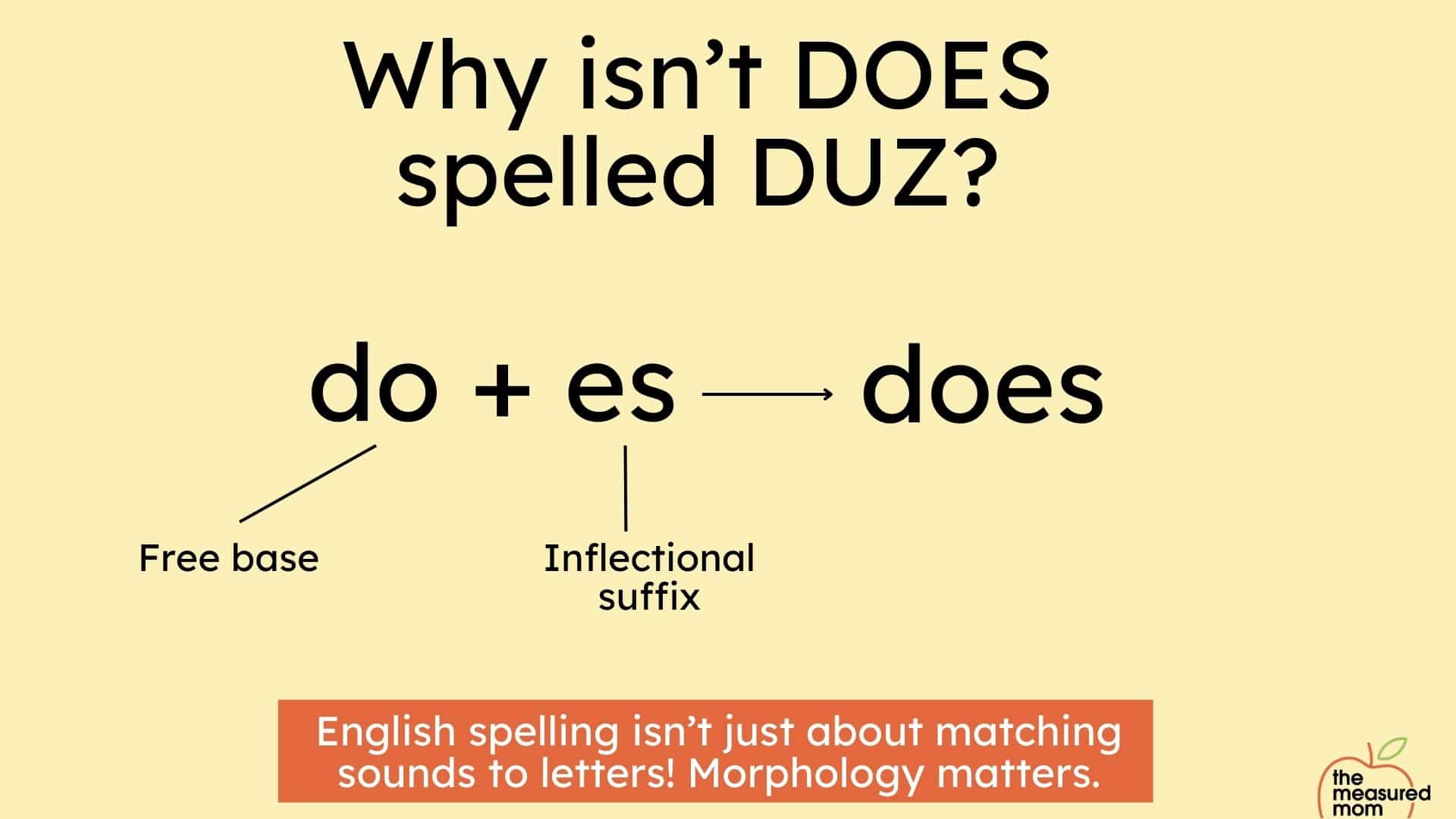 Morphology and spelling