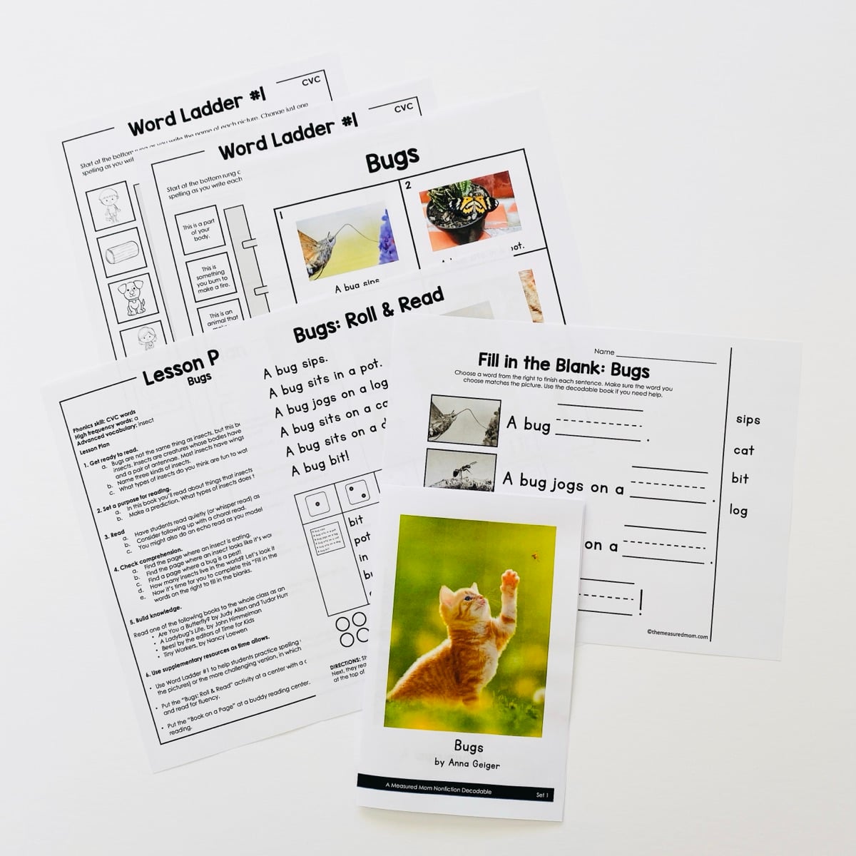Word ladders, Roll and Read, a lesson plan, Fill in the Blank and the book Bugs from a full set of nonfiction decodable books