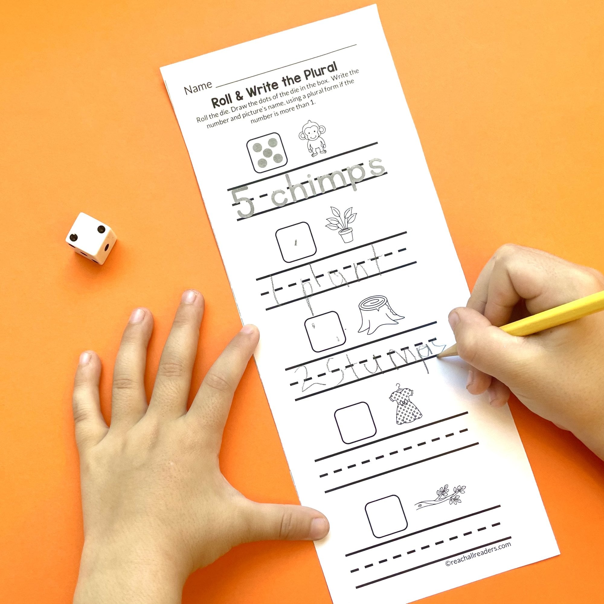 Roll and Write the Plural worksheet